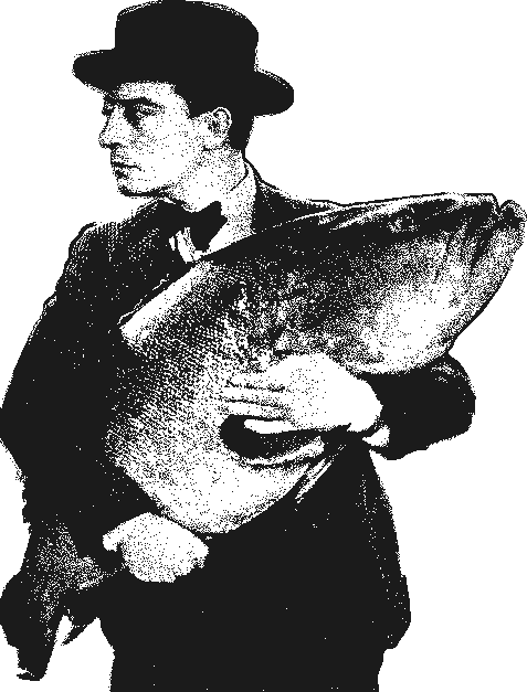Keaton fish